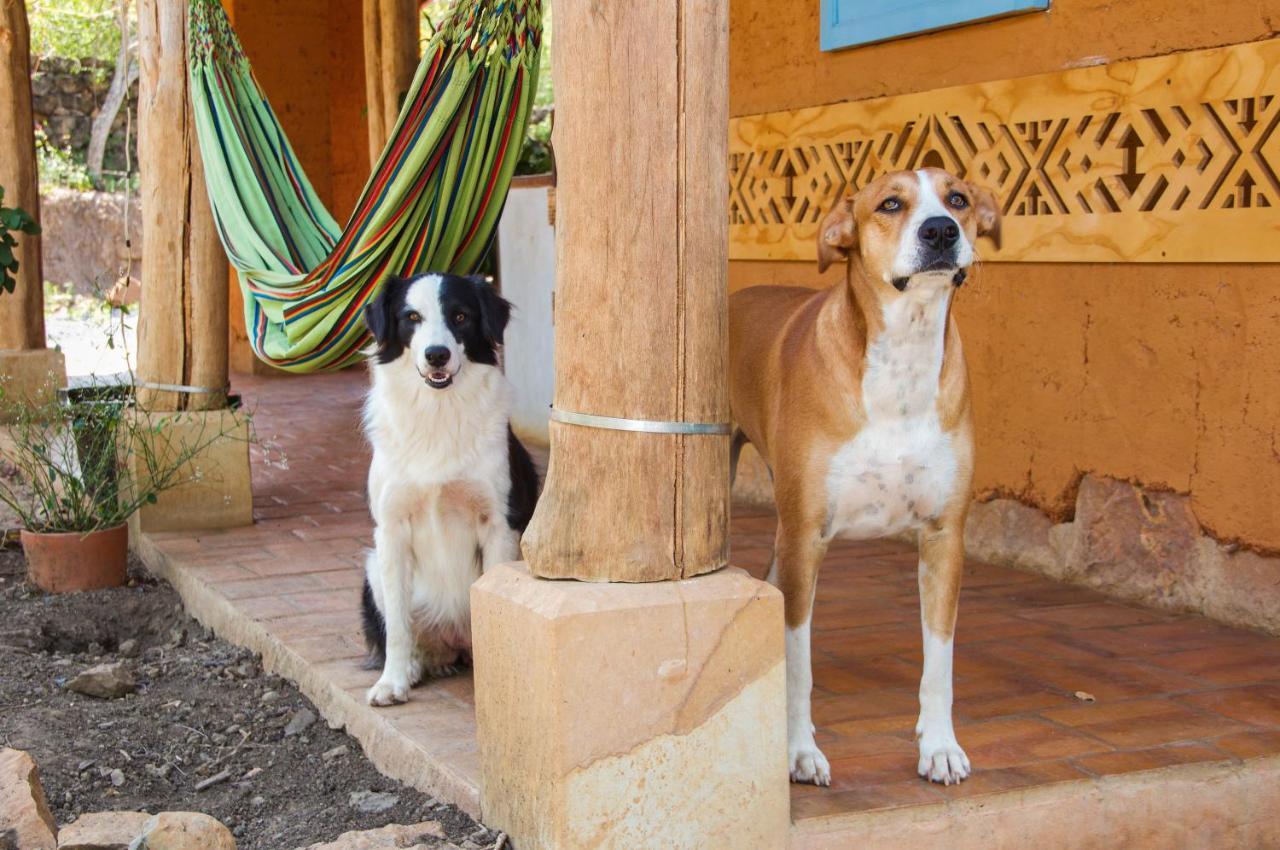 Nomad Hostal - Barichara Exteriér fotografie